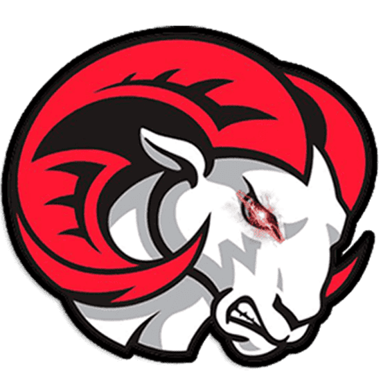 teamdomba33.com favicon